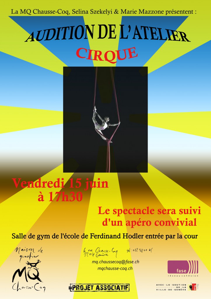 Pub audition cirque2018